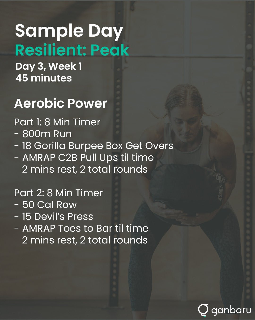 Resilient Bundle - Ganbaru Method