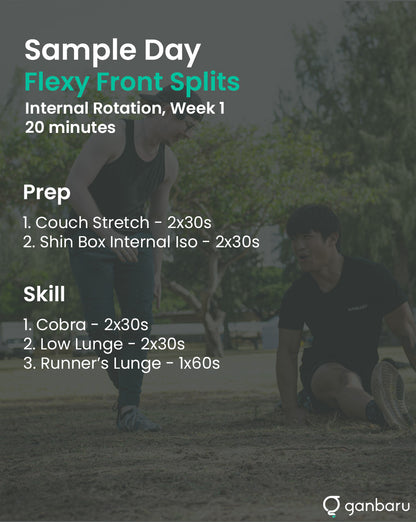 Flexy Bundle