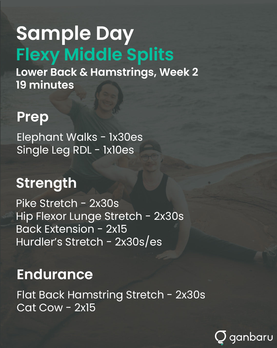Flexy Bundle