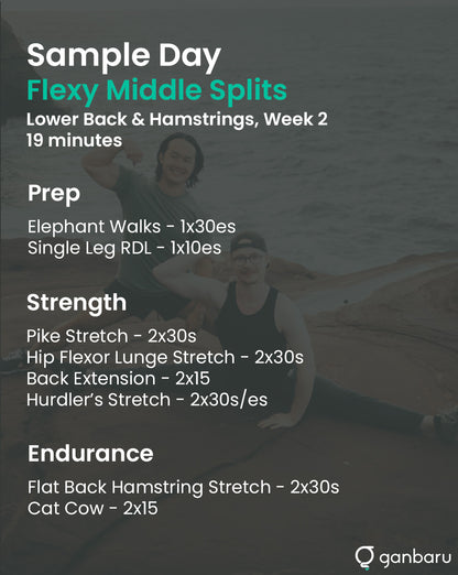 Flexy Bundle