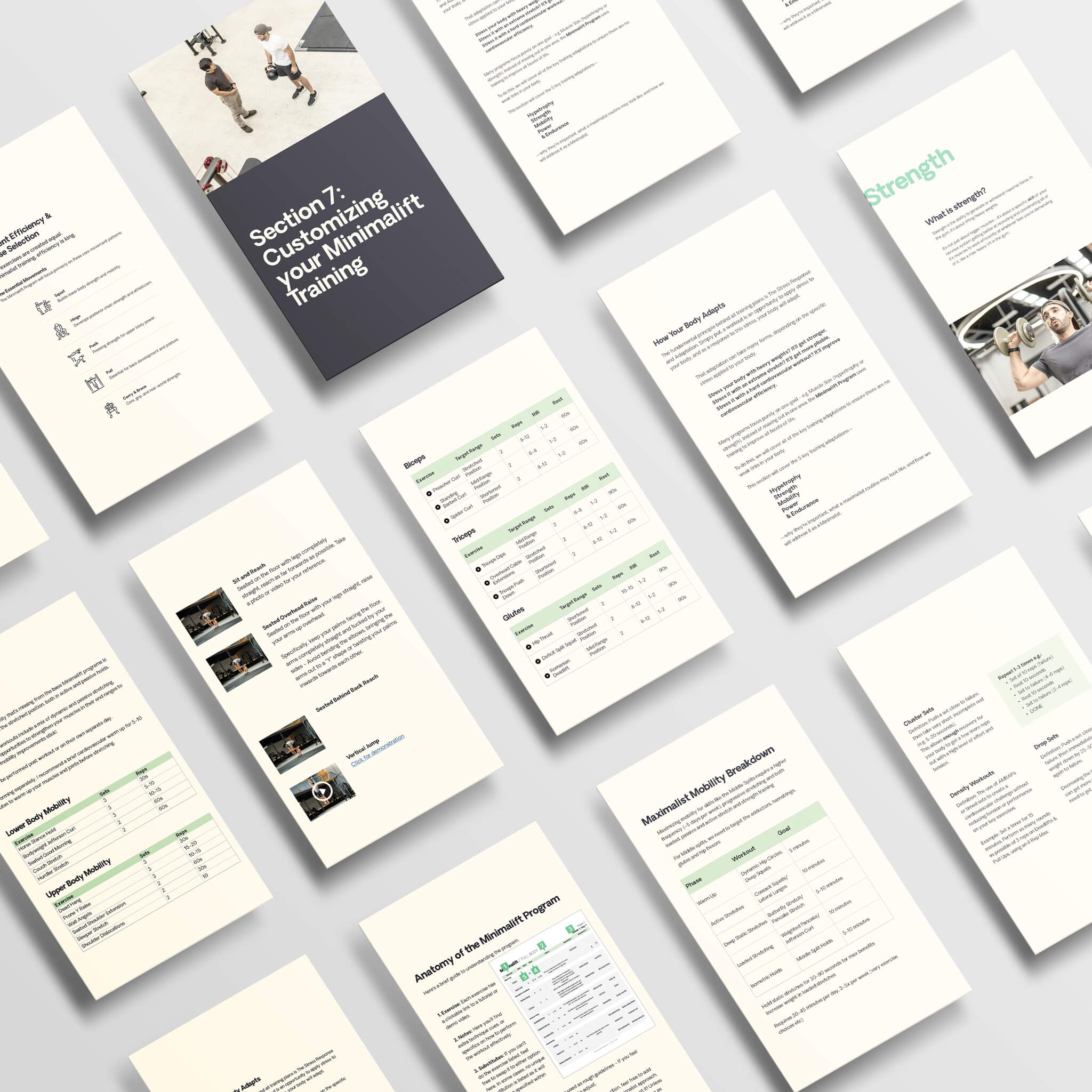 Minimalift Program Bundle