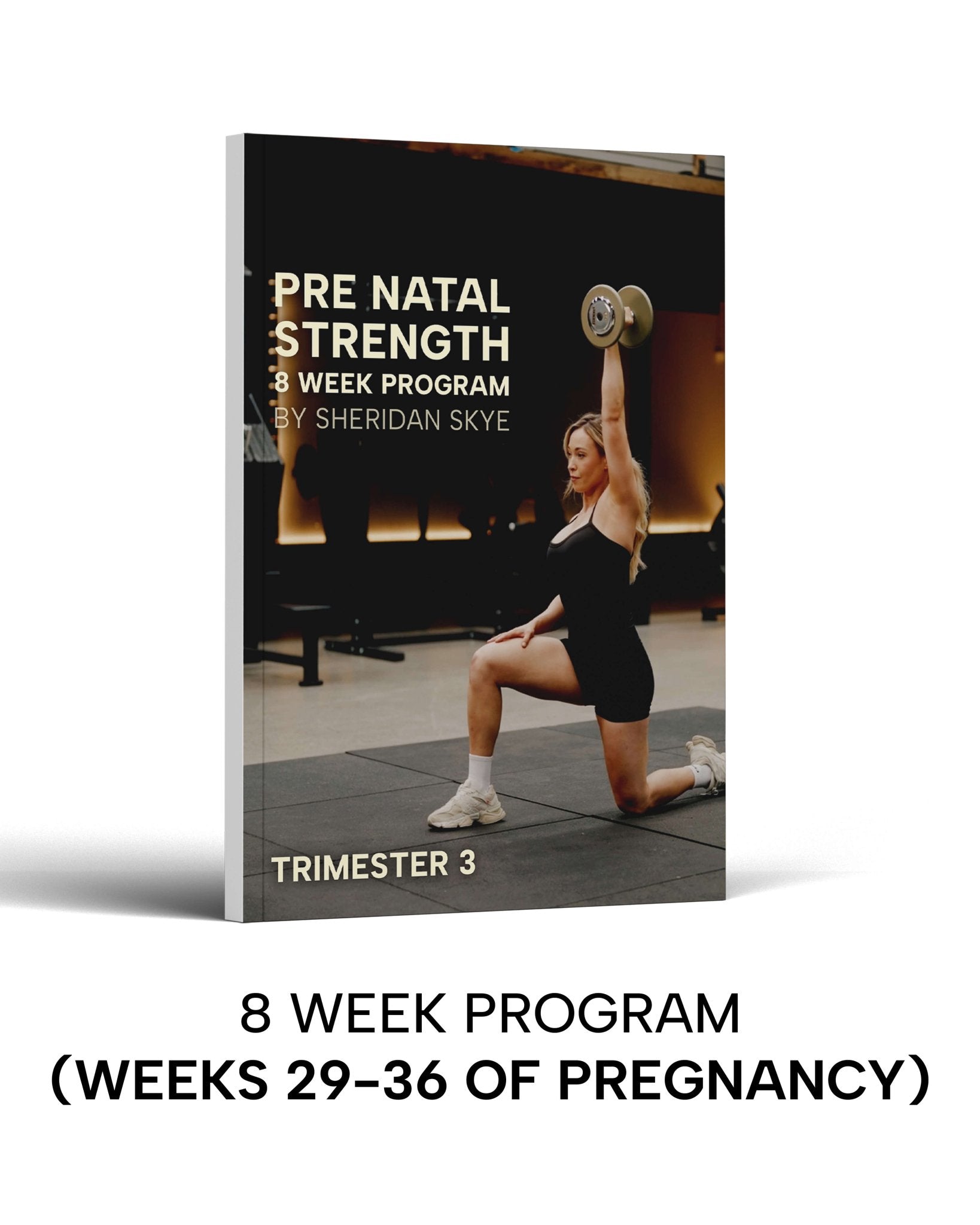 Prenatal Strength Program Bundle - Ganbaru Method